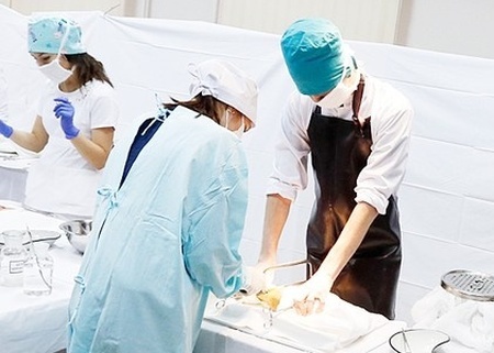    В разработке студенты и преподаватели. В Московском медико-стоматологическом университете взяточный скандал