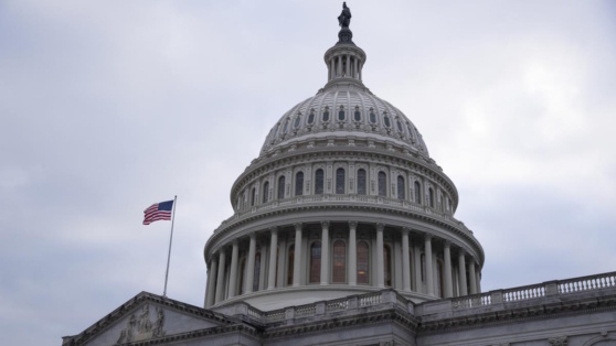    Кеннеди-мл. призвал США начать мирные переговоры с Россией по Украине Татьяна Сидорова
