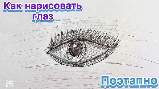 Как нарисовать глаз 👁️ Учимся рисовать ✍️ Поэтапно 🌸Красивый глаз 🎨