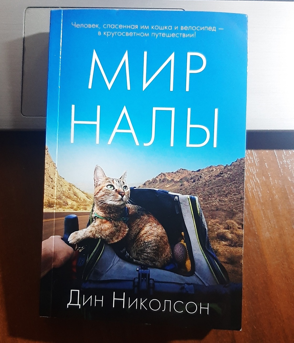 Моя книга