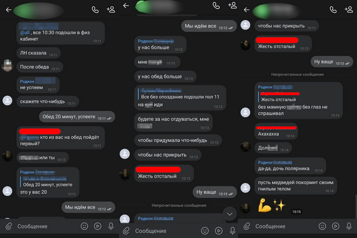 Скриншоты переписки в групповом чате за несколько минут до конфликта. Красным цветом помечены сообщения жертвы