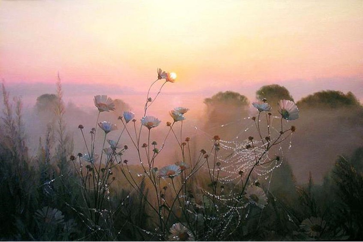 Картинка взята из общей сети Интернет 