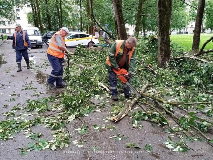     Фото: администрация Обнинска