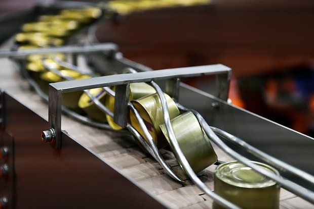 Фото: i viewfinder / Shutterstock / Fotodom