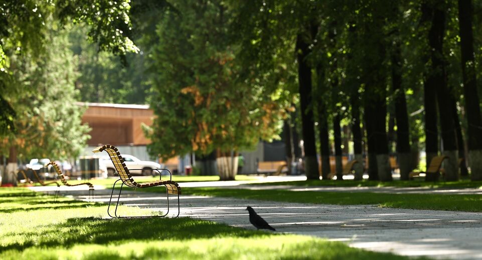    Медиасток.рф