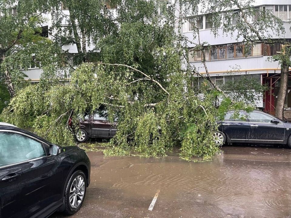    Ураган в Москве. Источник: "Москва с огоньком | Новости Москвы"