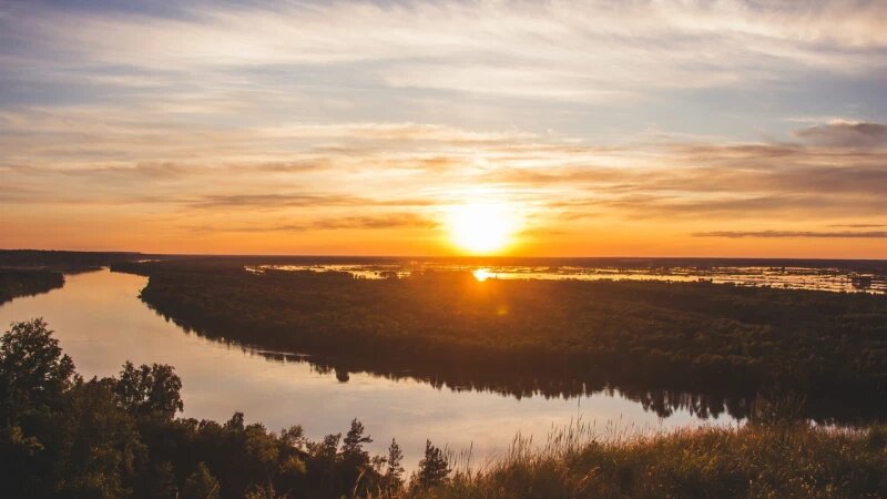     Природа у Научного городка. Марина Селезнёва, vk.com/ostanovka_mgnovenia
