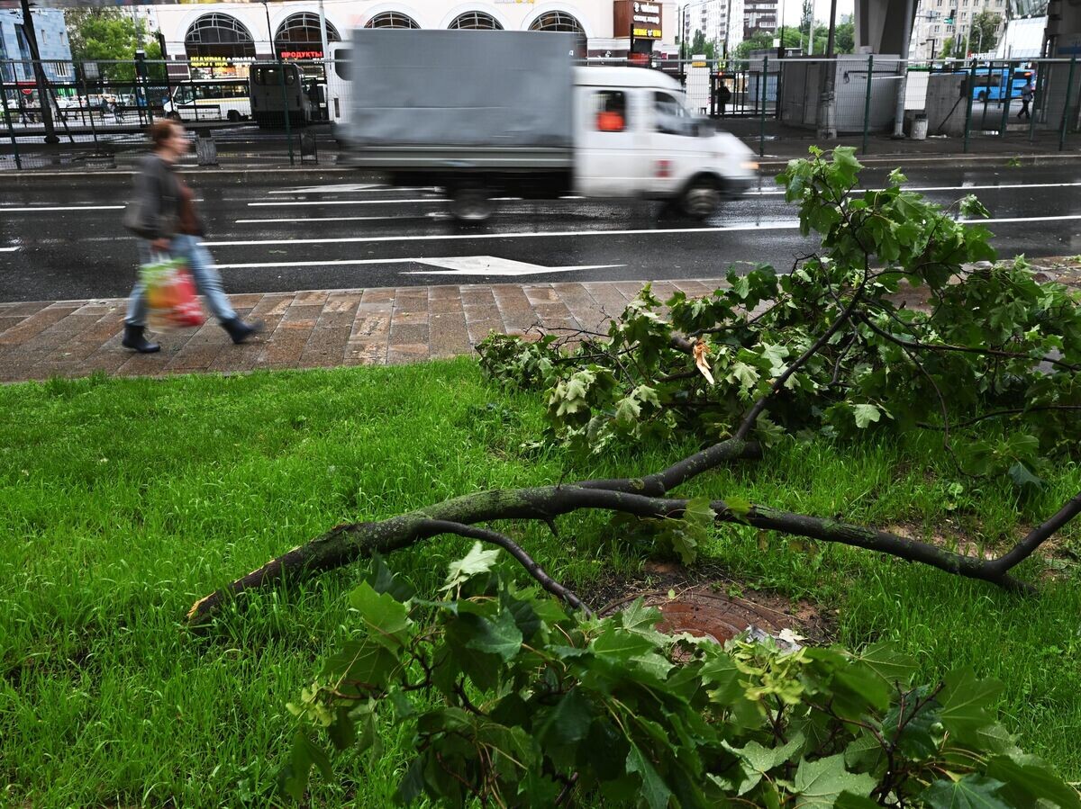    Последствия сильного дождя в Москве© РИА Новости / Кирилл Каллиников