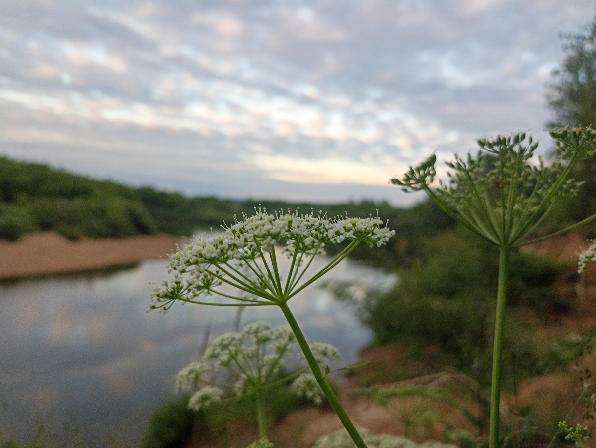 На берегу Днепра летним вечером