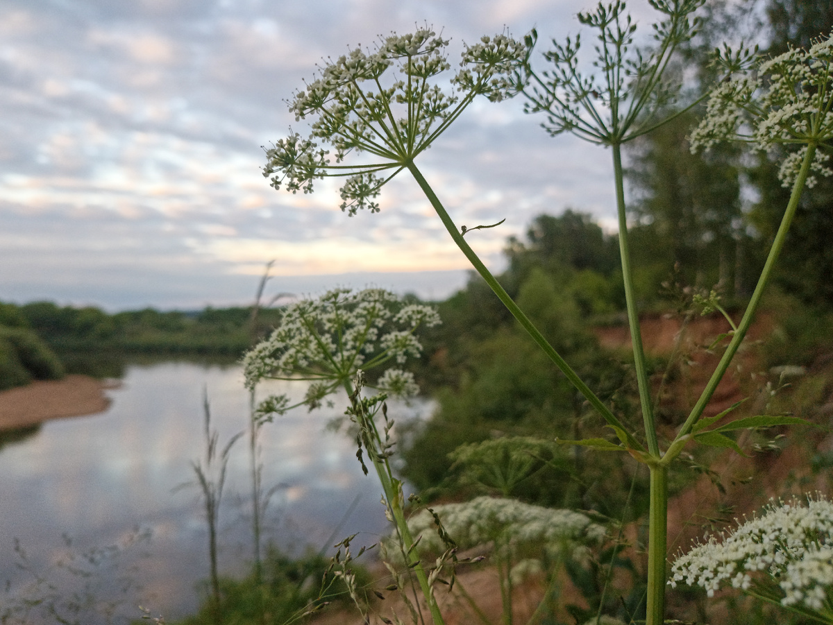 На берегу Днепра летним вечером. Листайте галерею