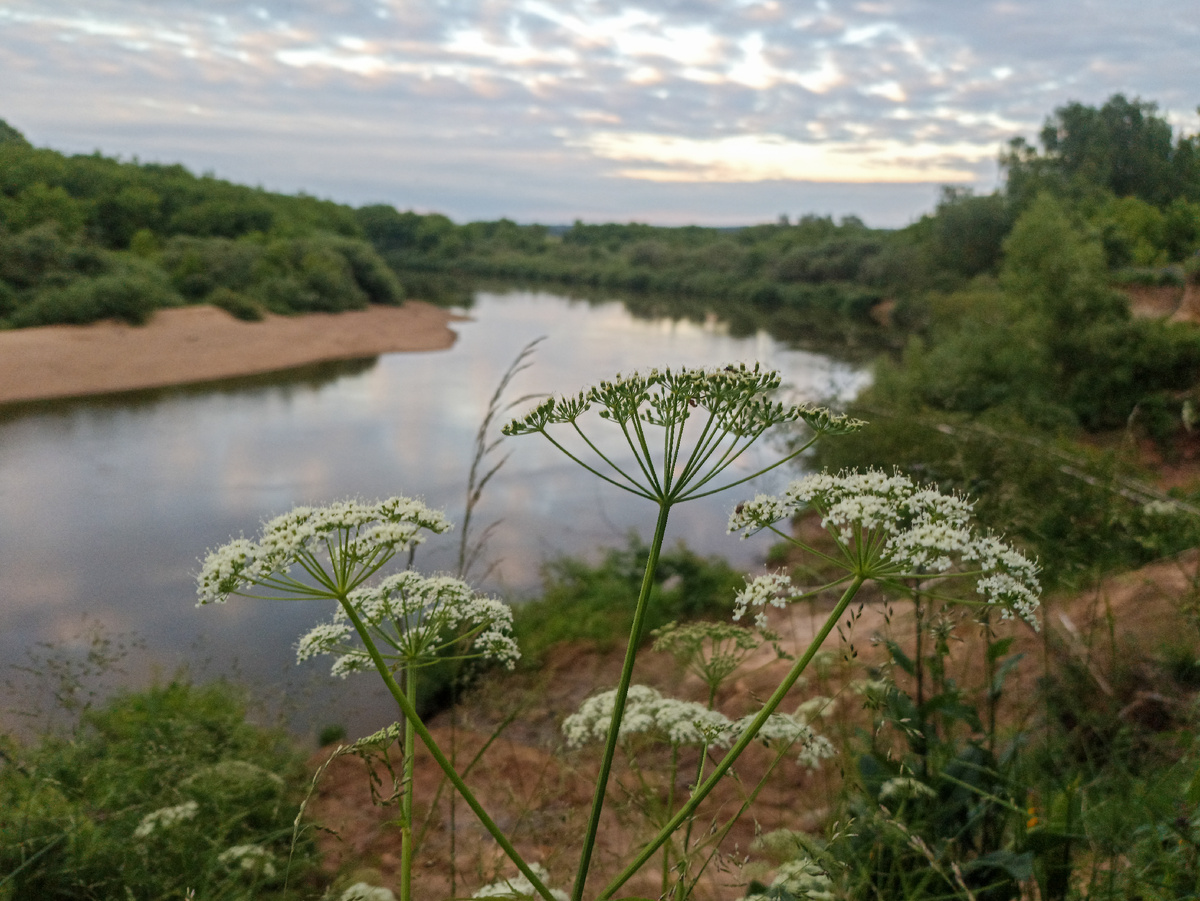 На берегу Днепра летним вечером