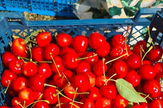   Фото со страницы фермерского хозяйства Натальи Ивановой «ВКонтакте»