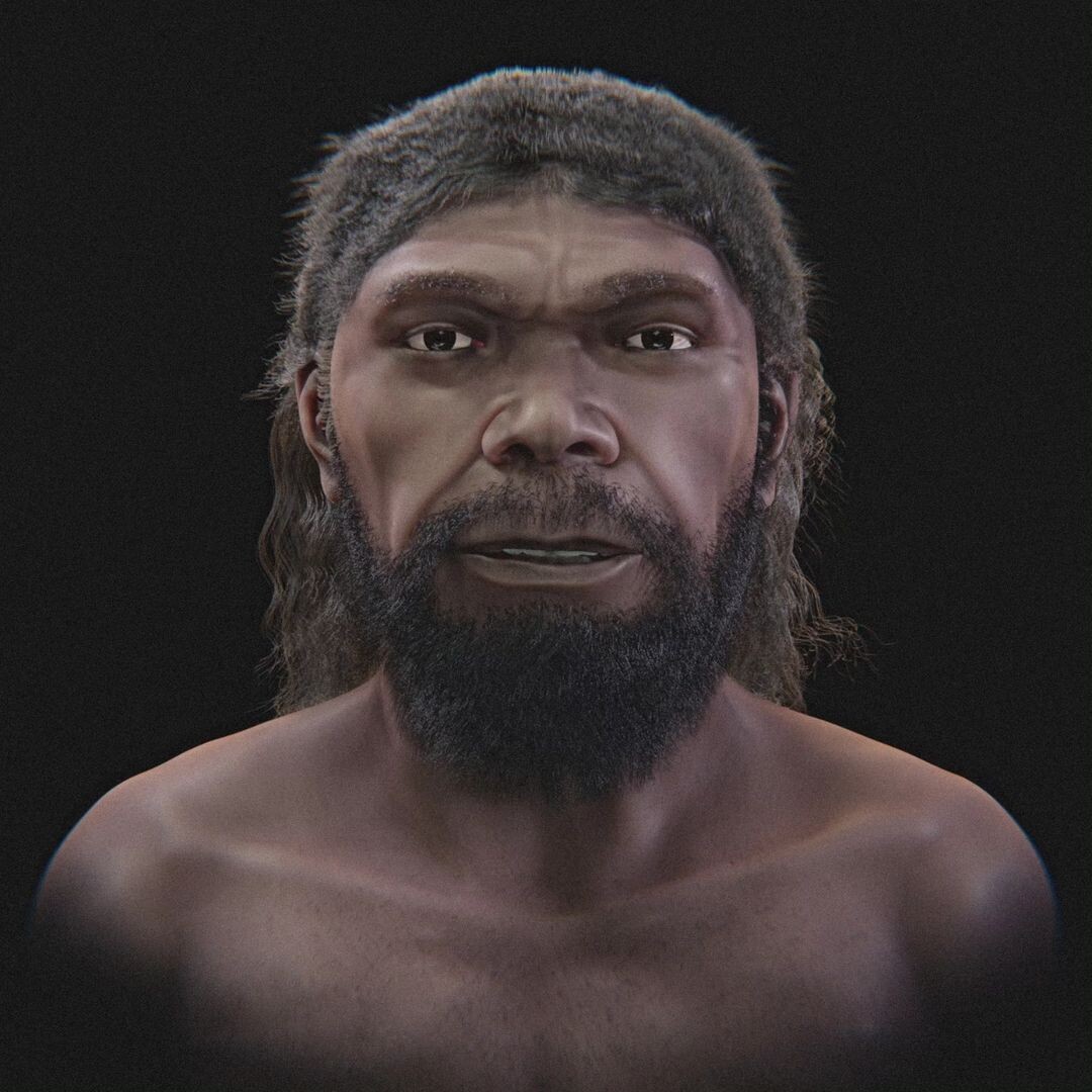 Sleeping with the Enemy Neanderthal, Ancient humans, Human species