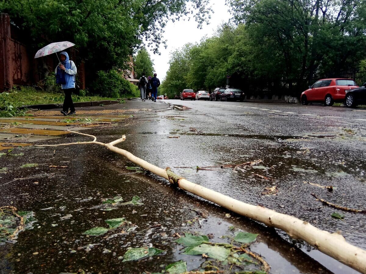    Сломанное ураганом дерево на улице города Москвы© РИА Новости / Рамиль Ситдиков