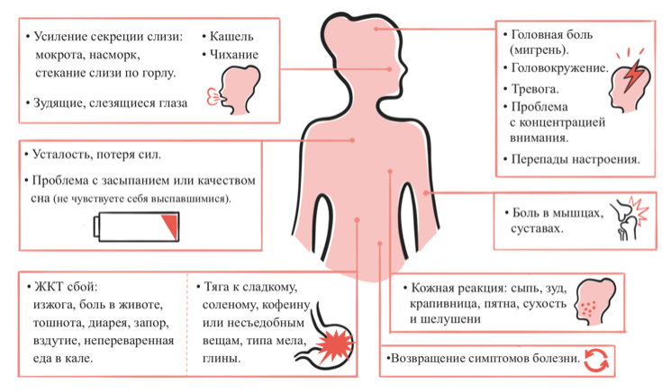 Обратите внимание, что многие признаки иммунной реакции похожи на симптомы интоксикации.