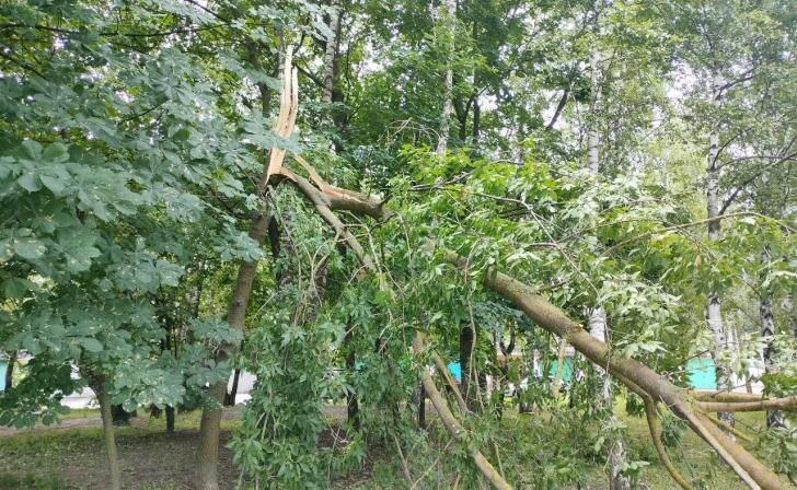    фото Курские известия