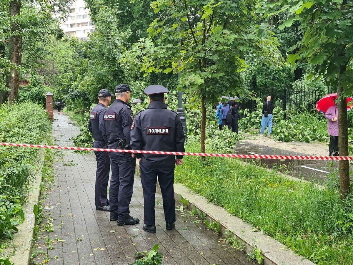    Обстановка на улице Ивановская в Тимирязевском районе Москвы, где упавшее дерево насмерть придавило прохожего© АГН "Москва" / Мобильный репортер