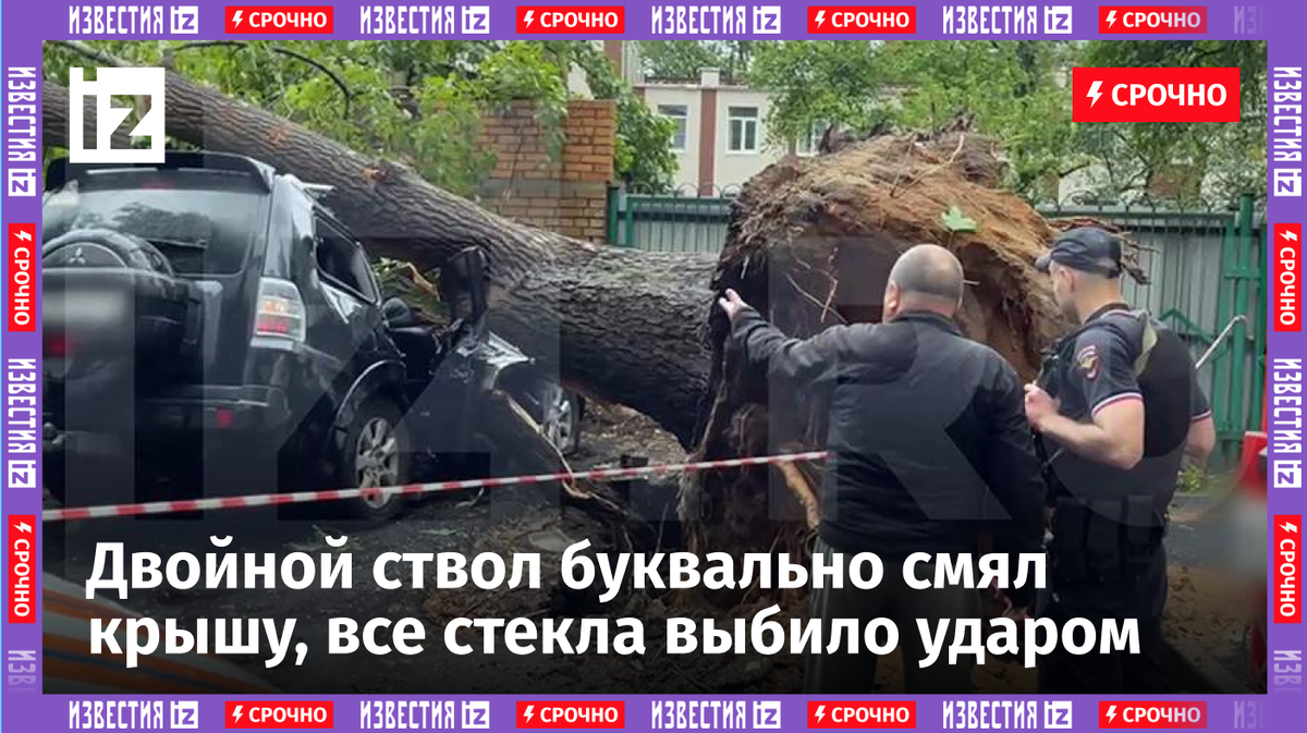 ⚡️В Москве дерево придавило автомобиль с водителем внутри | Известия | Дзен