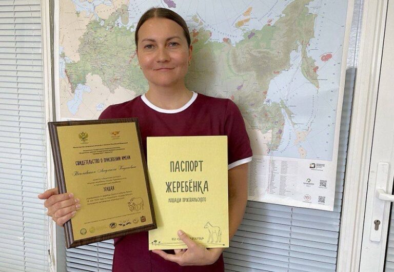    В Оренбургском заповеднике кобылка Зендая получила паспорт и имя Марина Шарт
