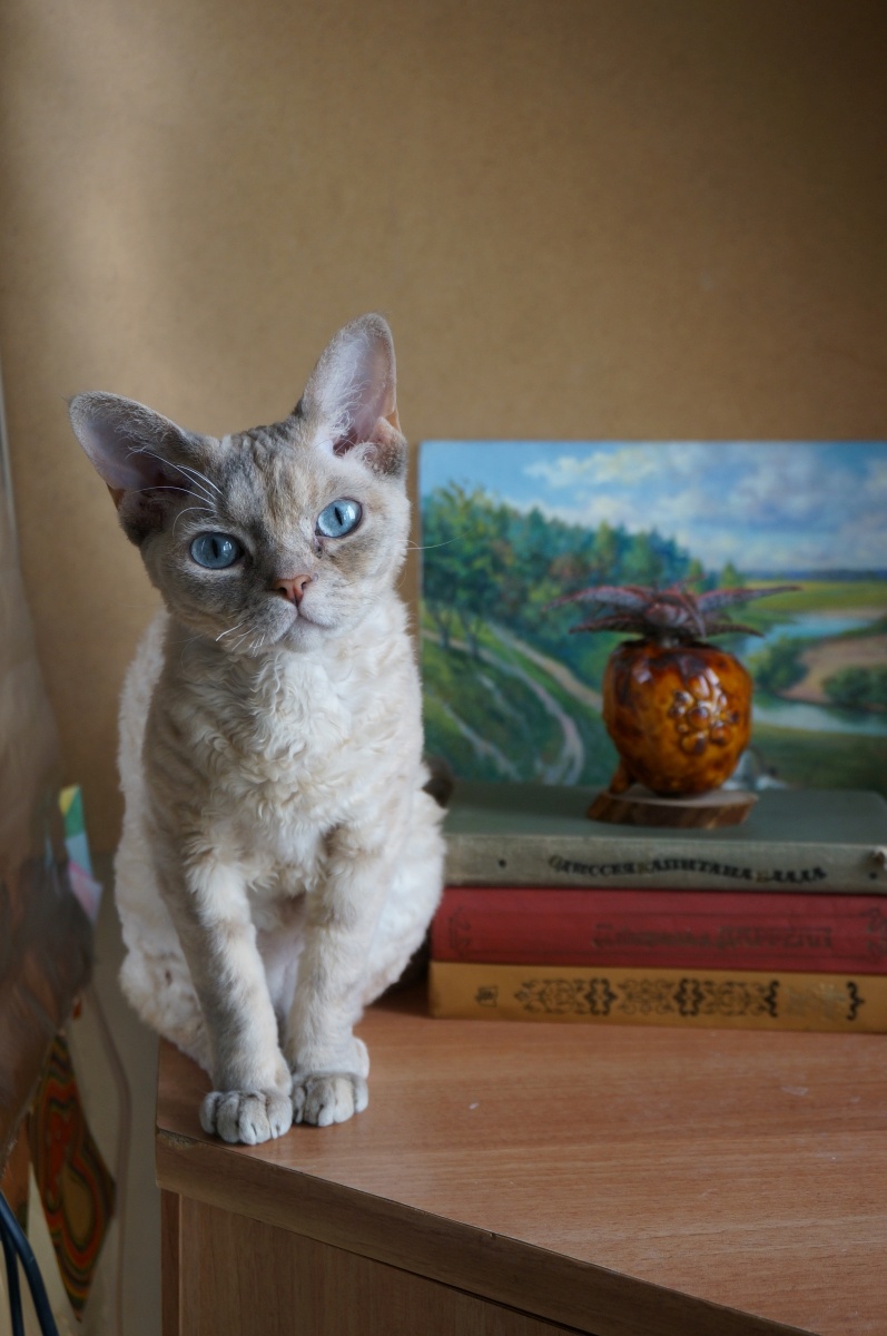 Вы еще не подписались на Телеграм?