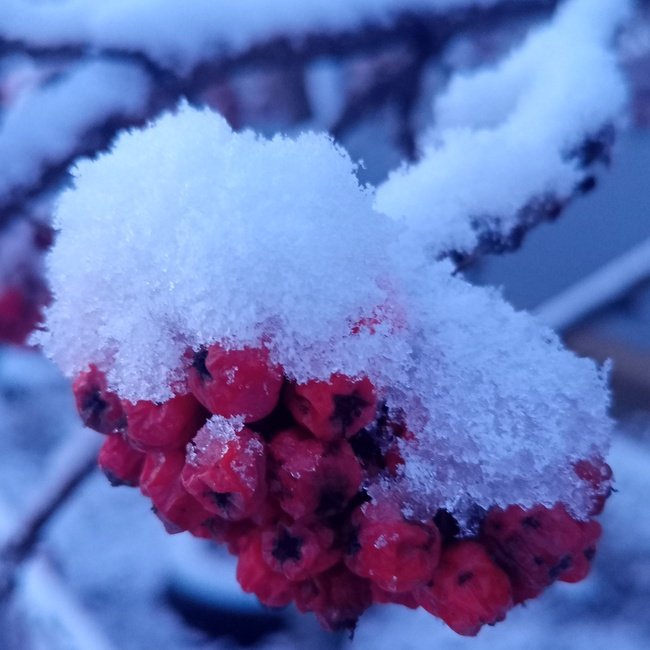 Фото автора канала