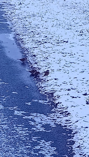 Фото автора канала