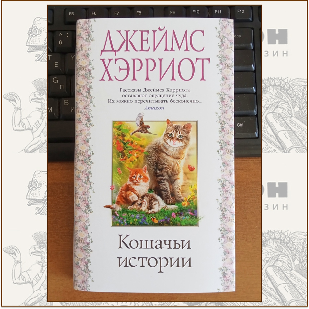 Суперобложка книги, оформление Ильи Кучмы