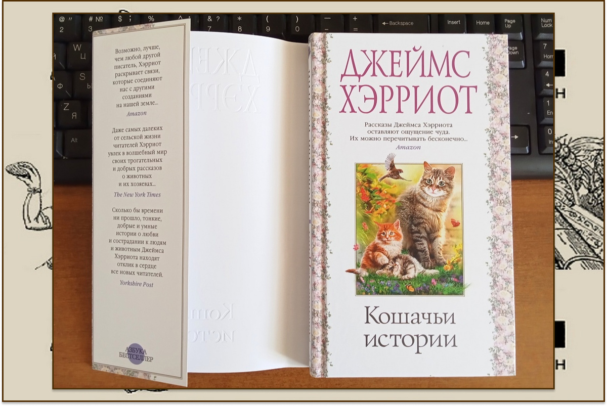Суперобложка и обложка книги