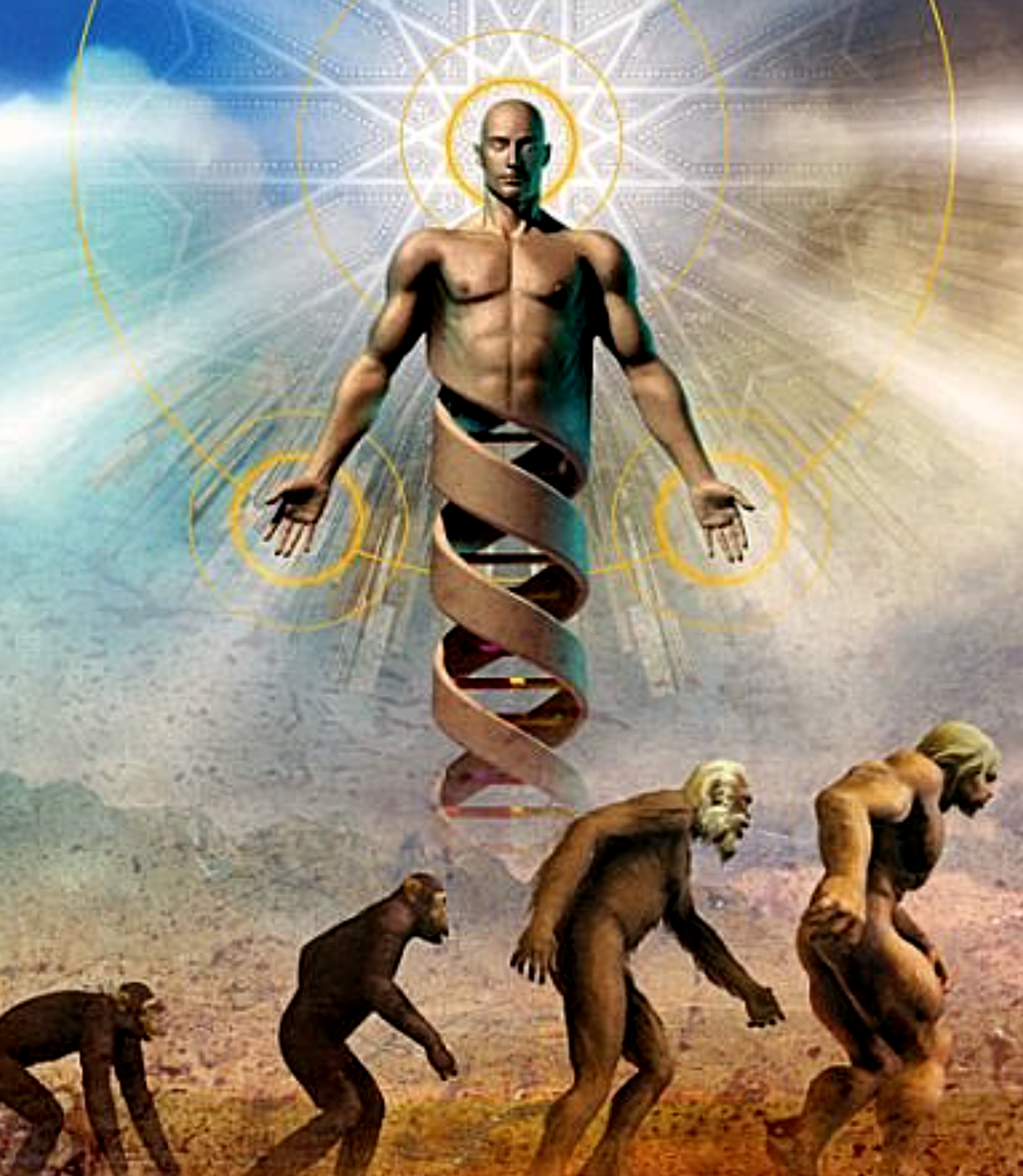 Дарвин отводил роль Творцу в теории эволюции.
Источник фото: https://postila.ru/data/08/0a/f7/4a/080af74a21645b60e61ff72dc8f3a0f5a5e347834b9888f103164e0a4a471ebb.png