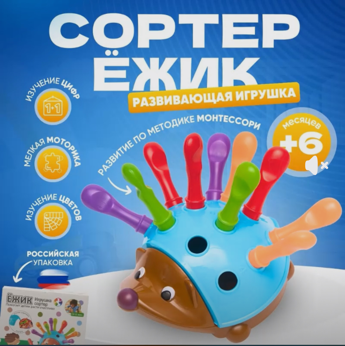 У нас вот такой еж. Ребенок был в восторге от него. Есть и на озоне и на вб. Сейчас начинаем изучать цвета с помощью этой игрушки. 