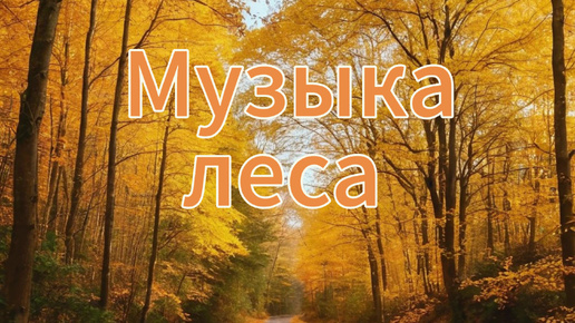 Релакс музыка леса. Шум леса.