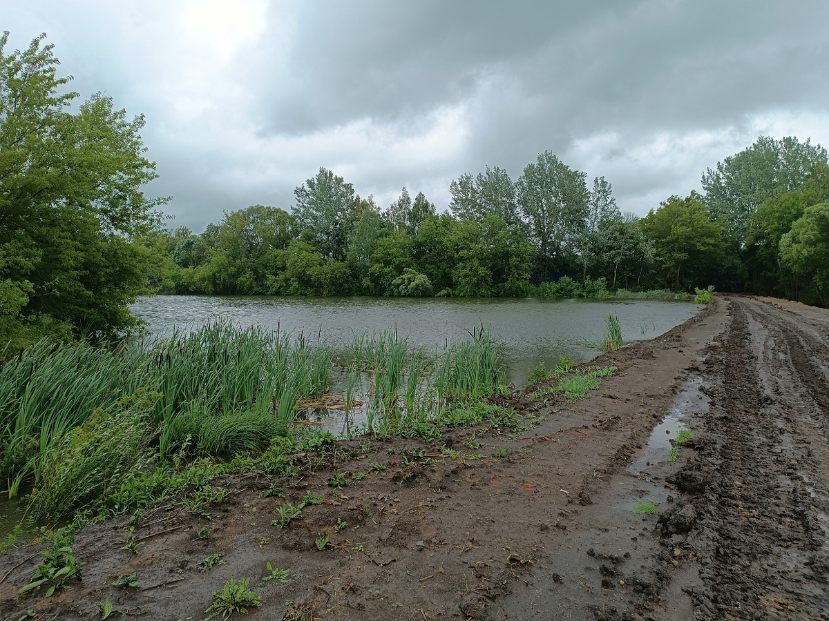 После ливня, почти в начале пути