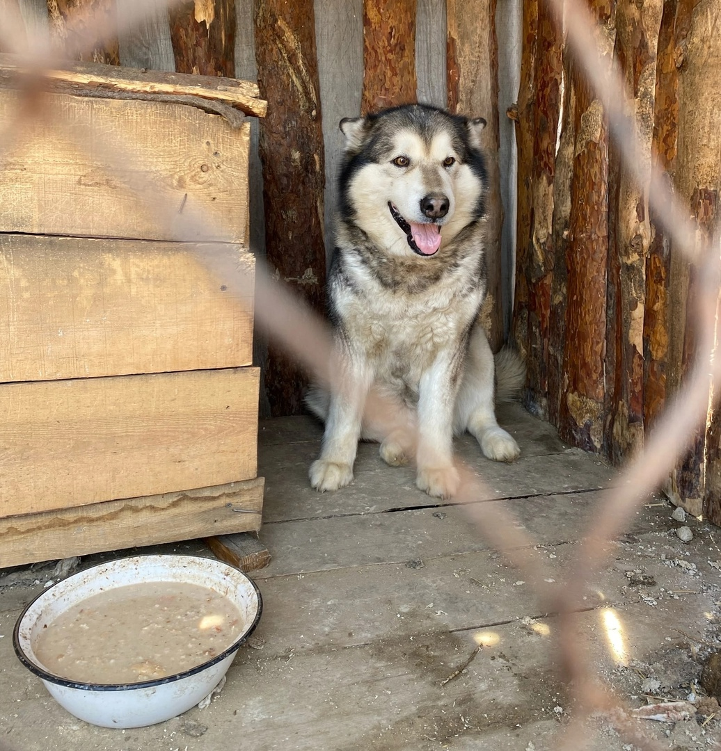 Хару в "Надежде"