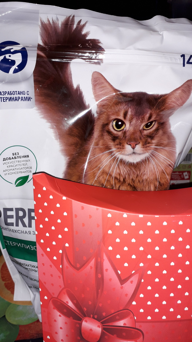 Фото автора. 