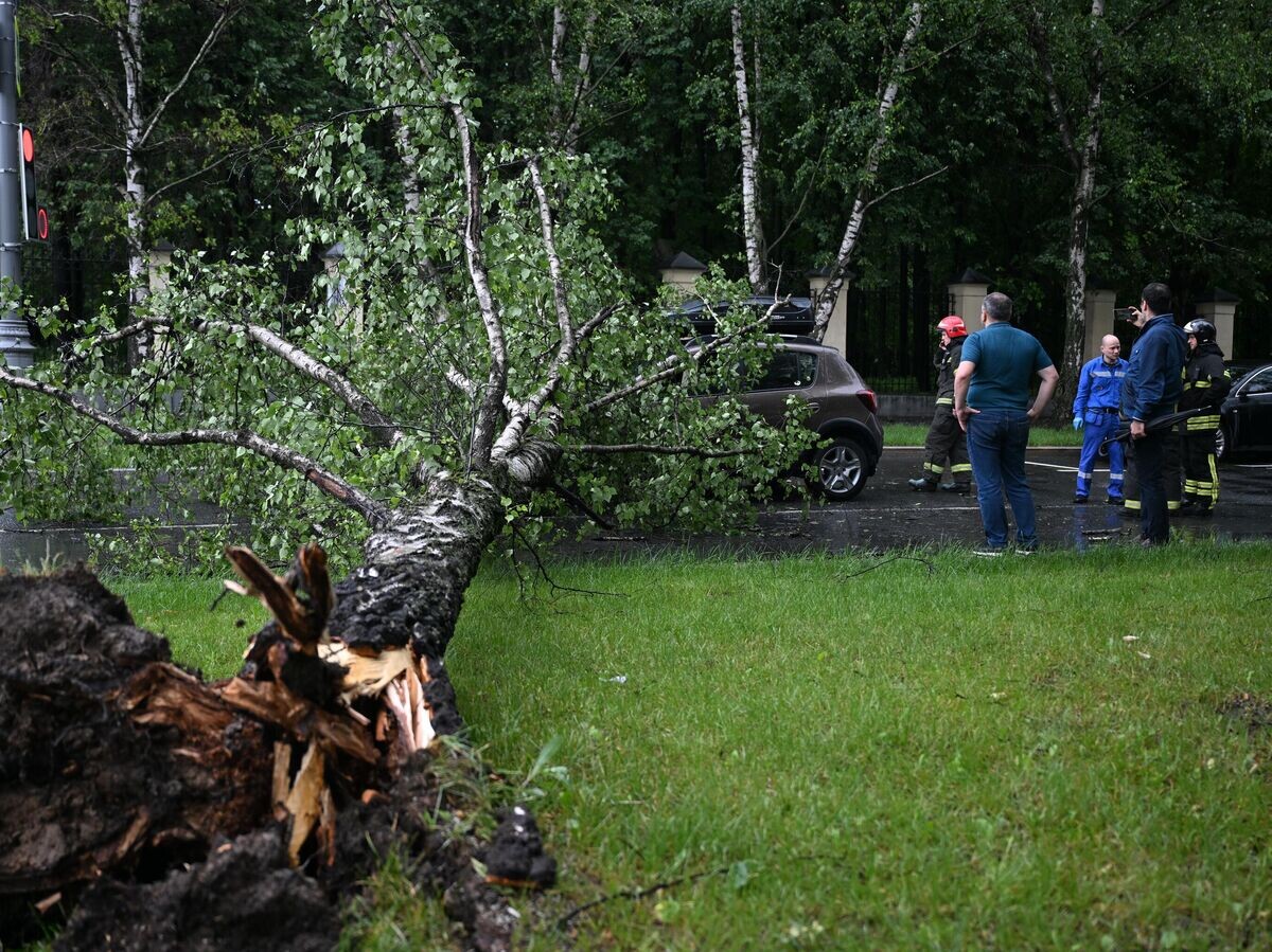    Последствия сильного дождя в Москве© РИА Новости / Павел Бедняков