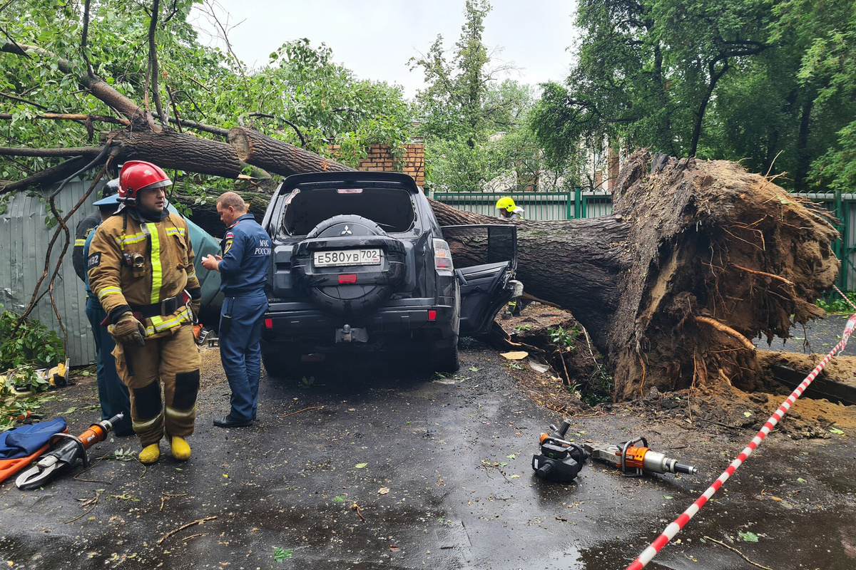 Во время урагана в Москве дерево упало во дворе на внедорожник Mitsubishi, в котором находился водитель, 20 июня 2024 года    📷