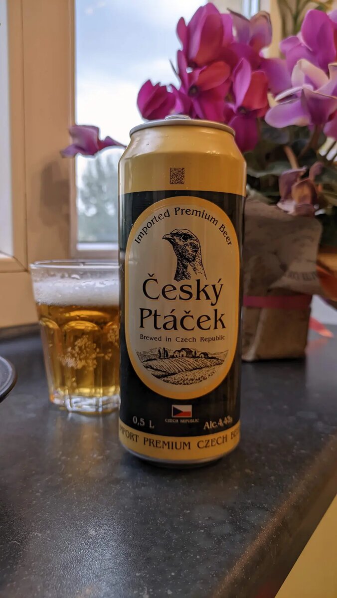 Český Ptáček