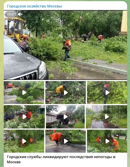    Фото: скриншот Telegram-канала Городского хозяйства Москвы