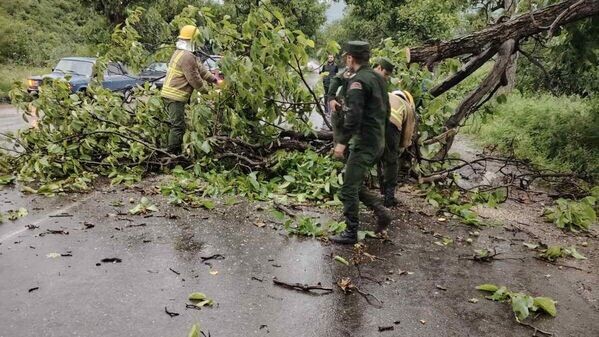Последствия сильного ветра © Photo:press office of the Rescue Service of the MIA of RA