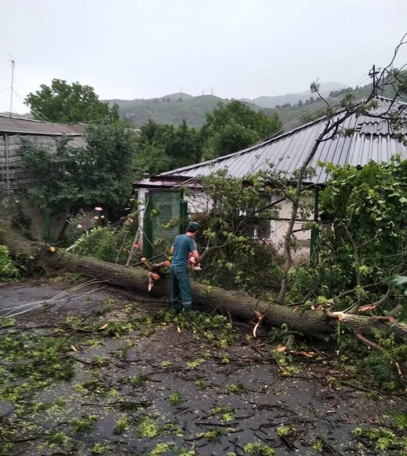 © Photo : press office of the Rescue Service of the MIA of RA