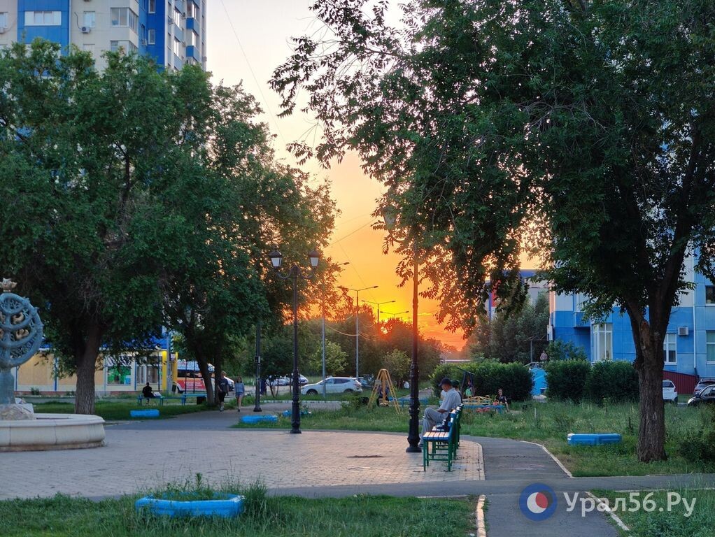    «Грязь и трава по пояс»: Денис Паслер поручил привести Оренбург в порядок в течение 2 недель