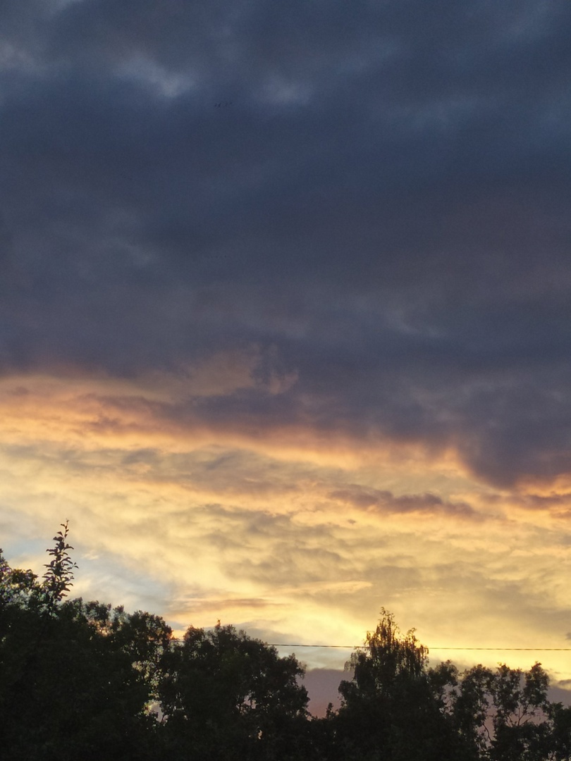 Поражаюсь человеческой ненавистью и жестокостью | Барбариска. | Дзен