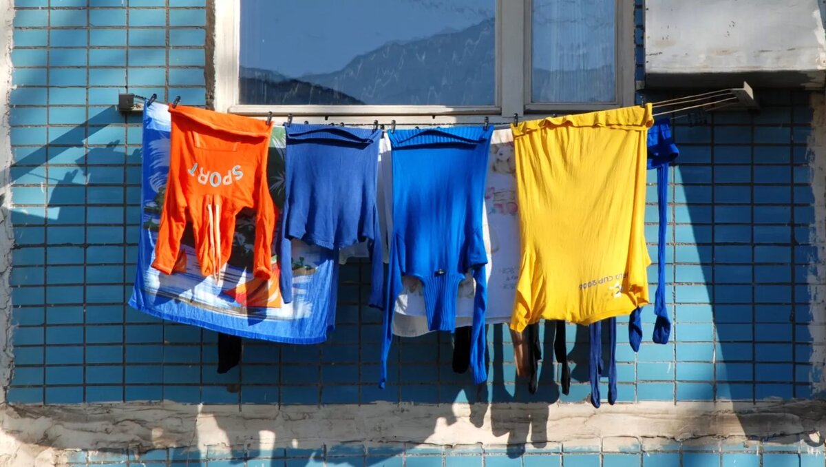     Источник: pxhere.com