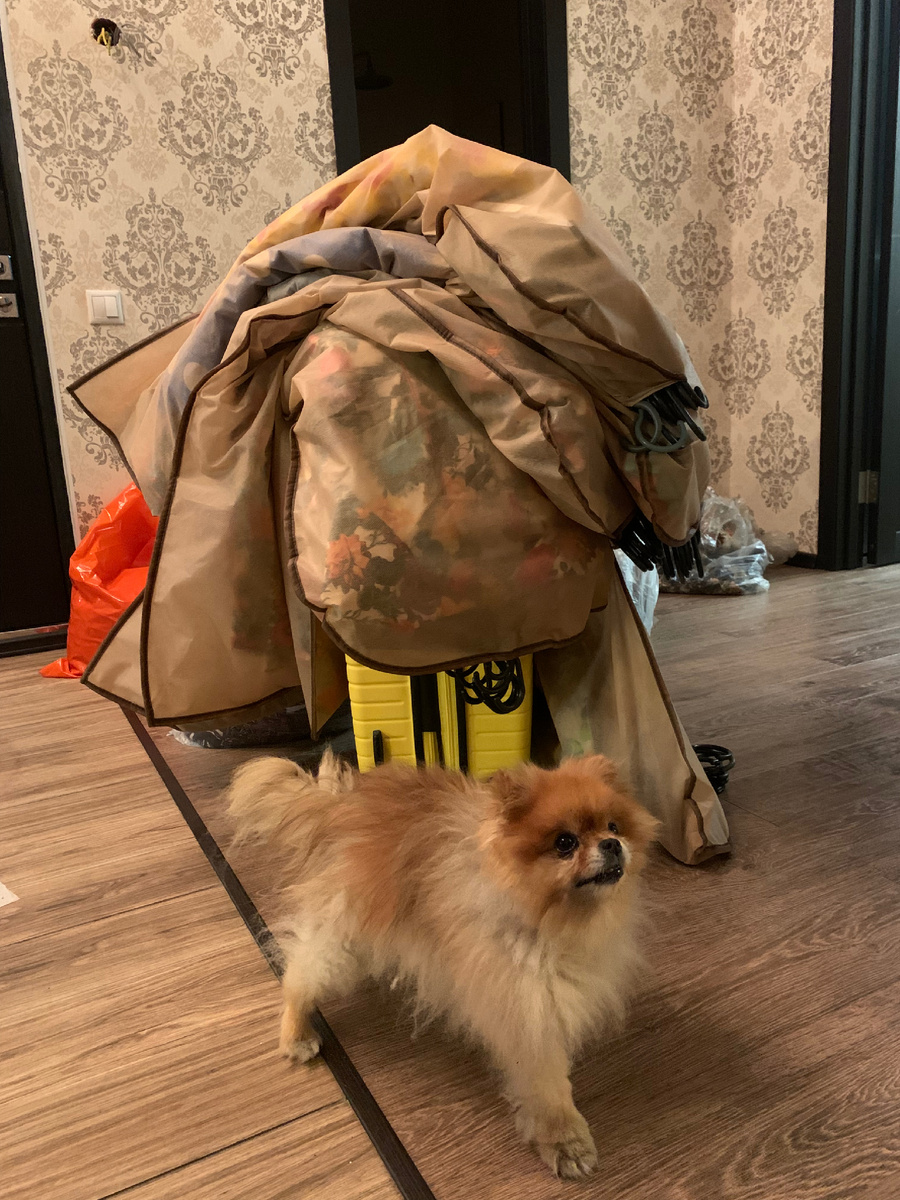 Одежда для фотосессии в чехлах и чемодане