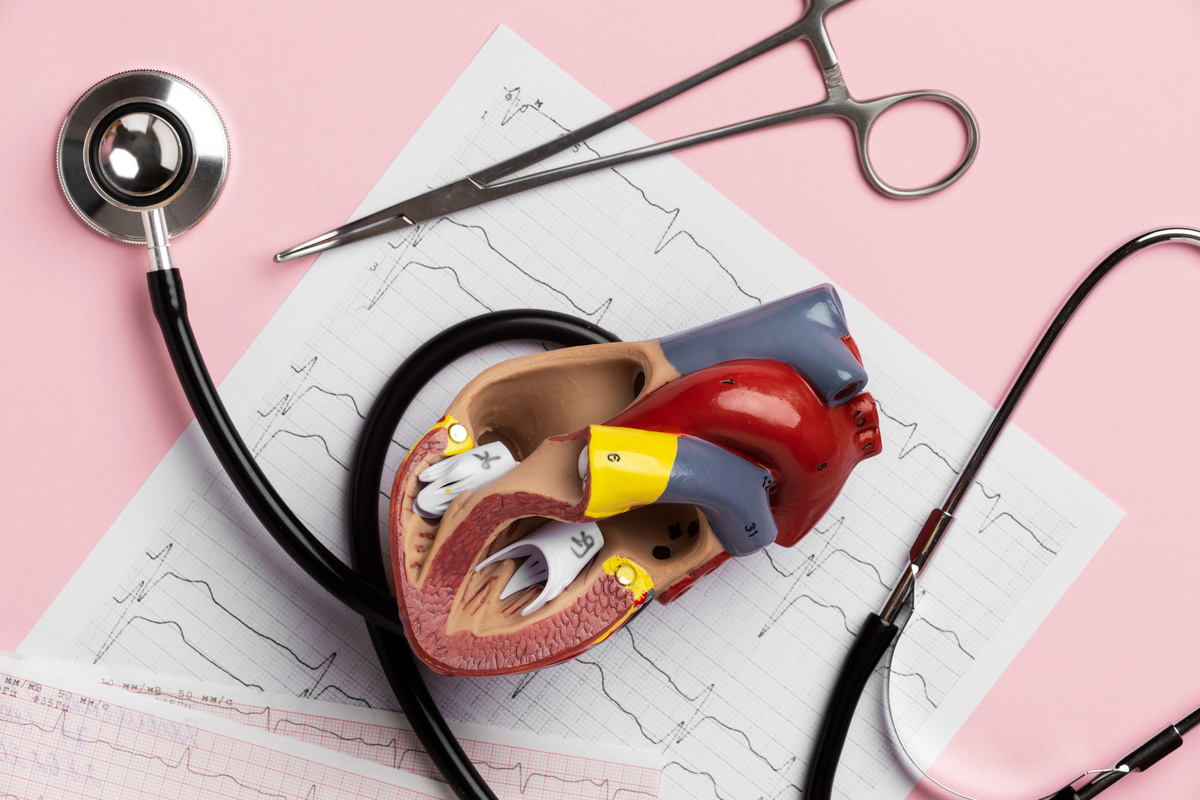 Источник: <a href="https://ru.freepik.com/free-photo/vid-anatomiceskoi-modeli-serdca-dla-obrazovatel-nykh-celei-so-stetoskopom_34136826.htm#fromView=search&page=1&position=0&uuid=ea626844-d98d-454a-8072-796cd5877c96">Изображение от freepik</a>