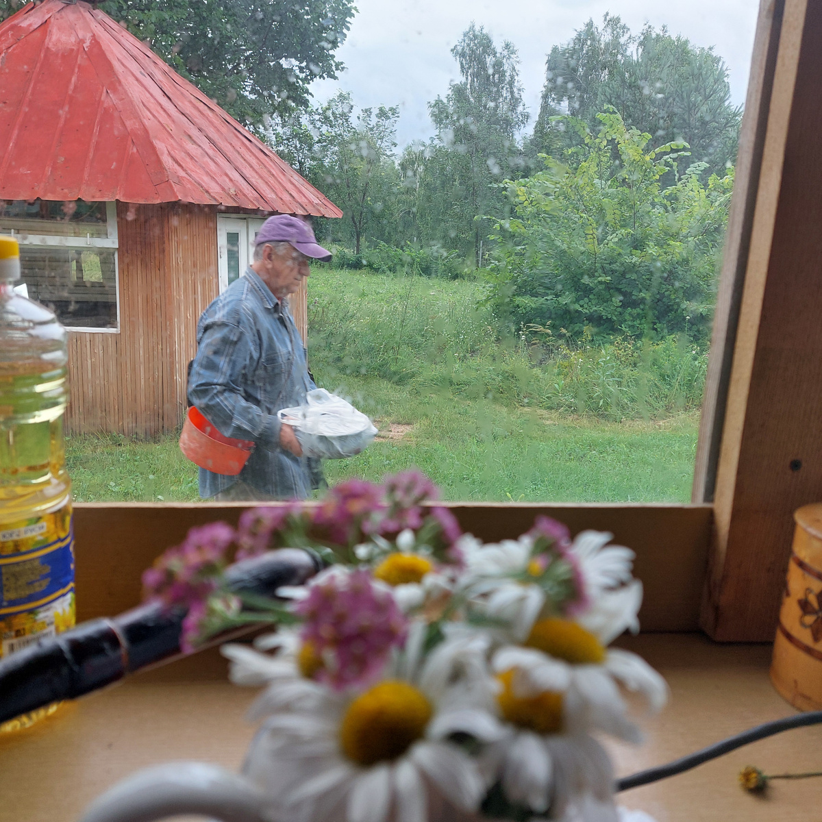 Вид из окна веранды. Хозяин что-то НУЖНОЕ несет...