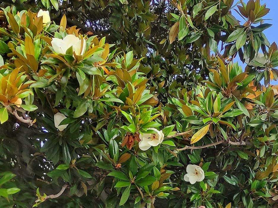 Фото сделала на Приморском бульваре