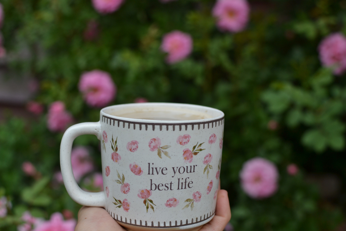 Чашка с розами на фоне роз. Живи, как бы говорит нам чашка, свою лучшую жизнь. Все фото автора