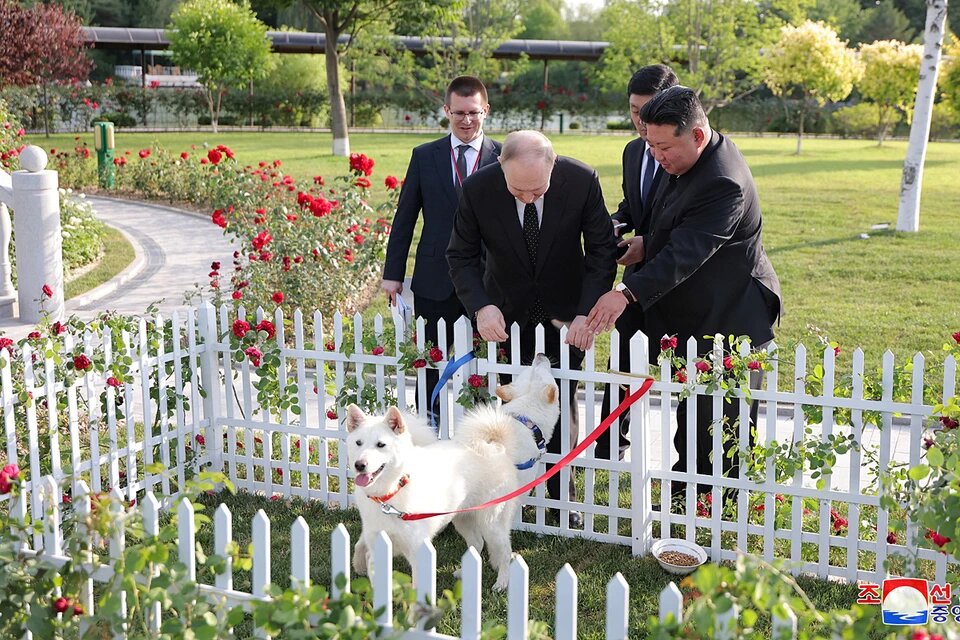 Фотография с сайта: https://www.kp.ru/daily/27597/4948488/