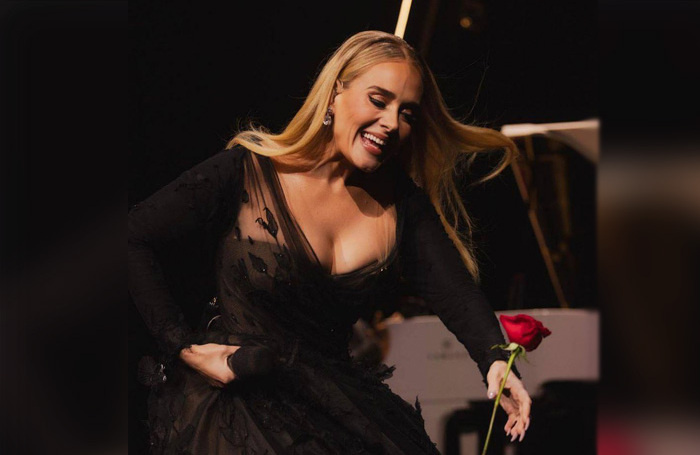    Певица Адель в платье российского бренда Valentin Yudashkin.Valentin Yudashkin official/Telegram